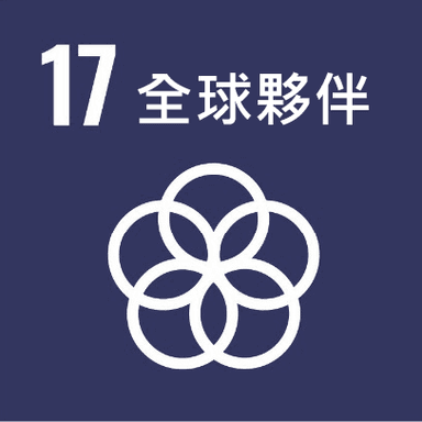 SDG 17