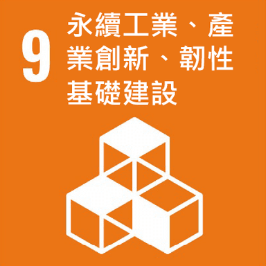 SDG 9