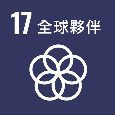 SDG 17
